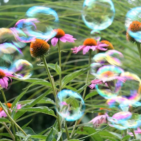 Laas Art Gallery Stari Trg pri Lozu