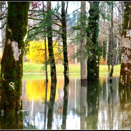 Laas Art Gallery בית אירוח