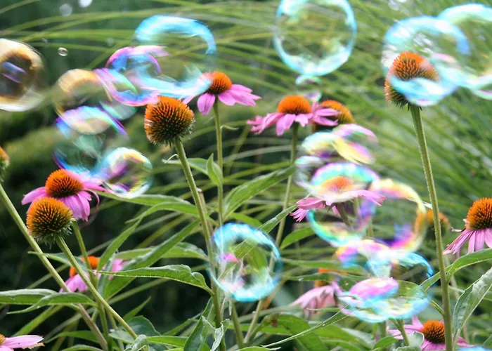 Laas Art Gallery Stari Trg pri Lozu