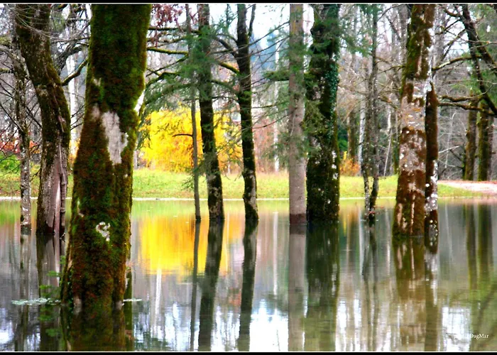 Laas Art Gallery בית אירוח