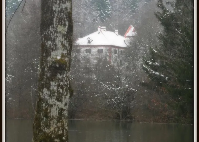 בית אירוח Laas Art Gallery